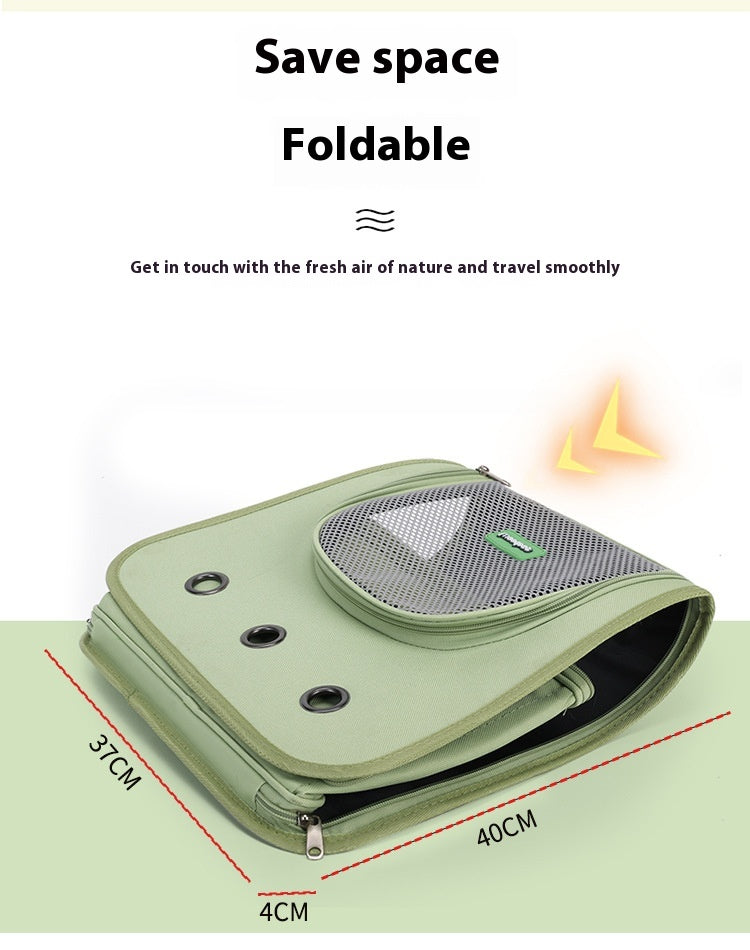 Big Buddy Cat Backpack – Take Your Kitty Anywhere!