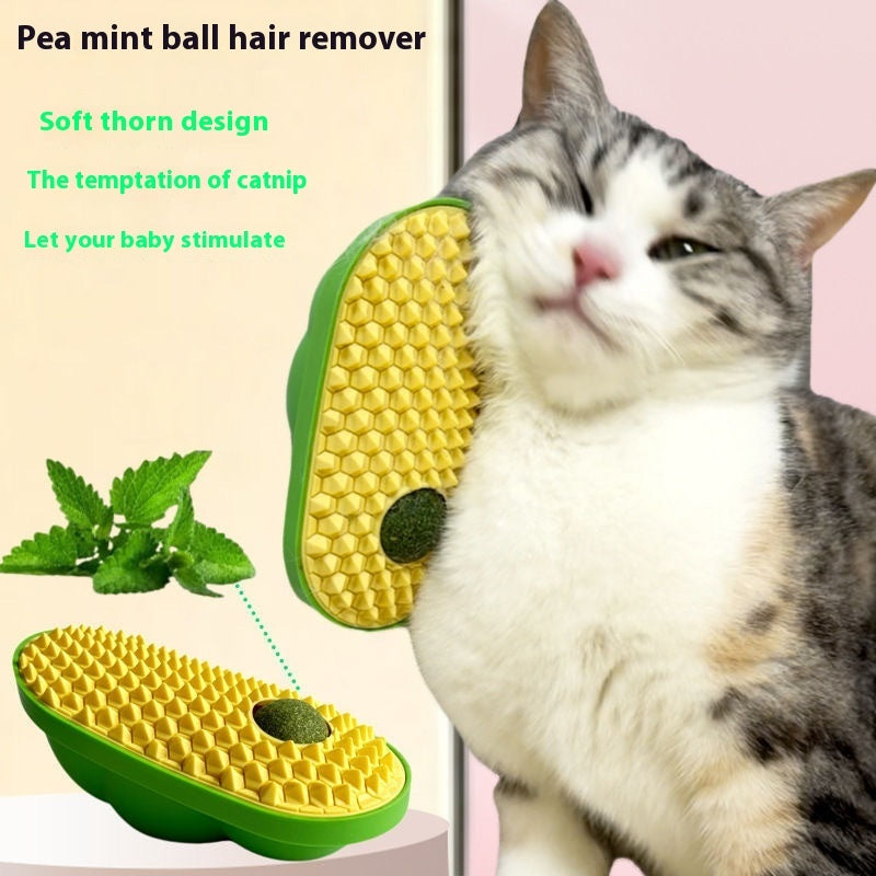 Scratch Me Please – Cat Toy That Loves Back