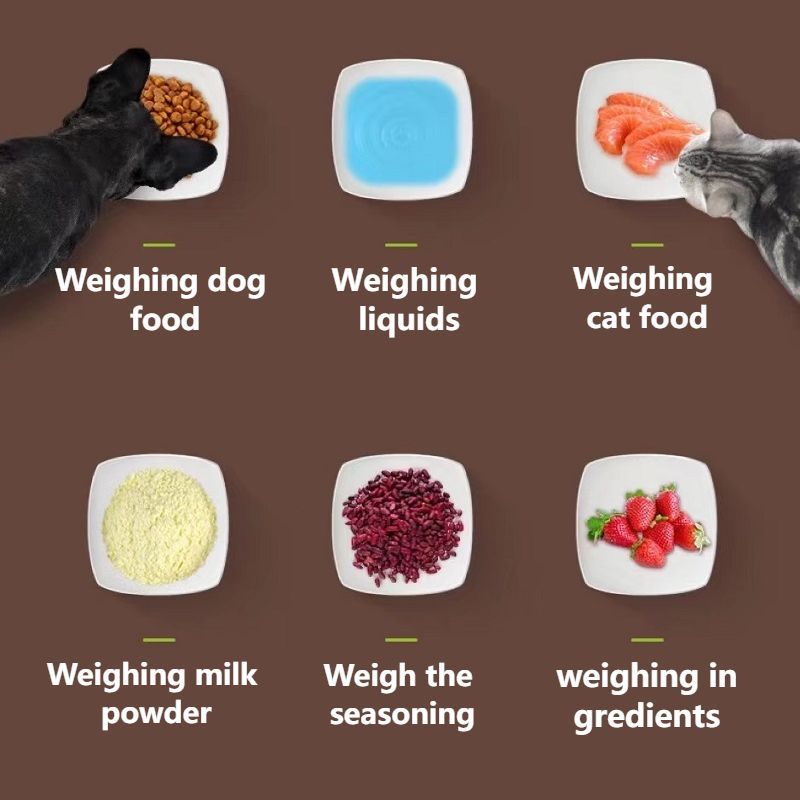 Scoop & Serve – Easy, Clean, Accurate Every Time